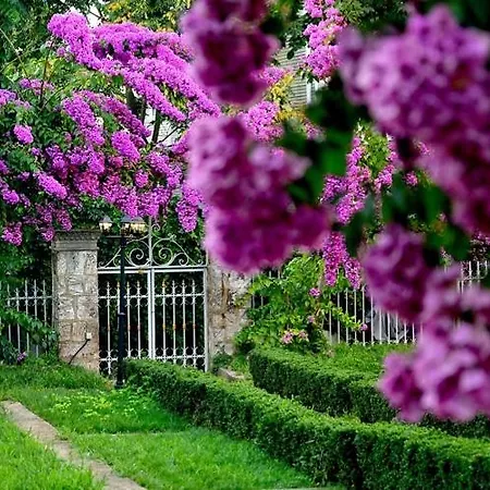 Rasim Bey Mansion, Detached House And Studio House