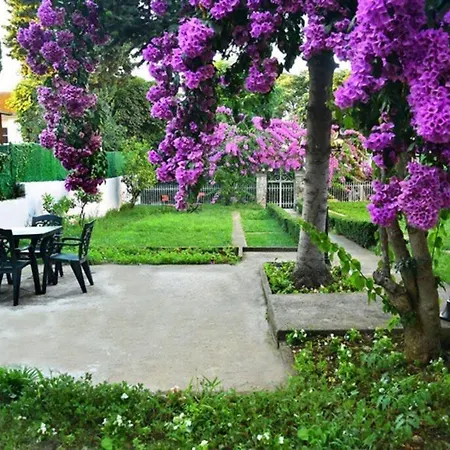Villa Rasim Bey Mansion, Detached House And Studio House Prinseneilanden