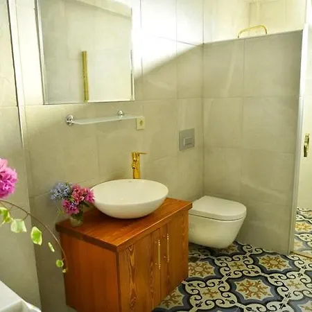 Rasim Bey Mansion, Detached House And Studio House Villa Prinseneilanden